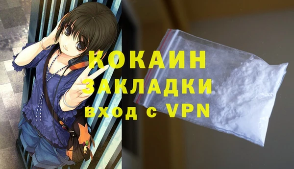крисы Горняк