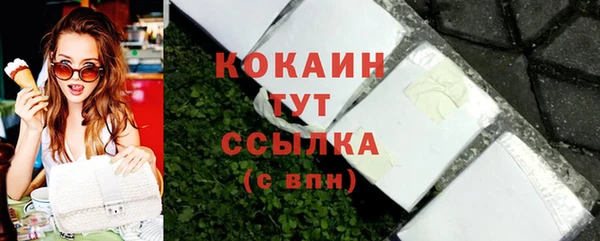 крисы Горняк